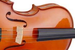 violino