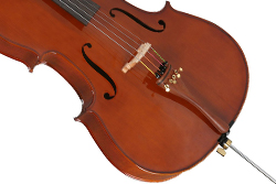 violoncelo